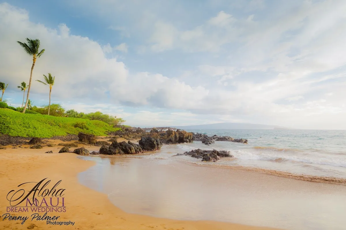 A Perfect Paradise Wedding