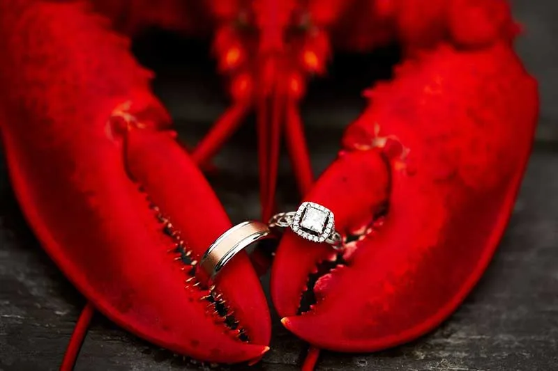 All In One Weddings gallery