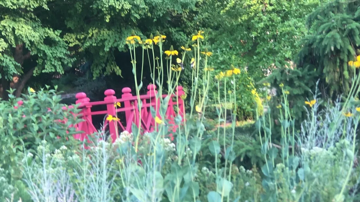 Allen Centennial Garden gallery