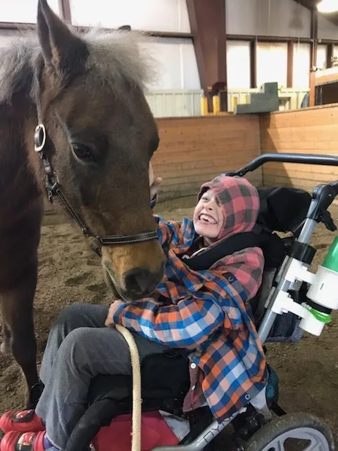 Angel Horses gallery