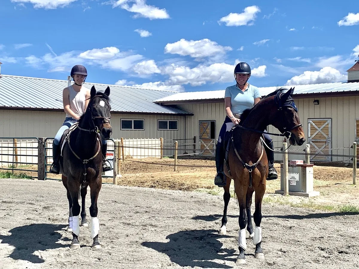 Angel Horses gallery