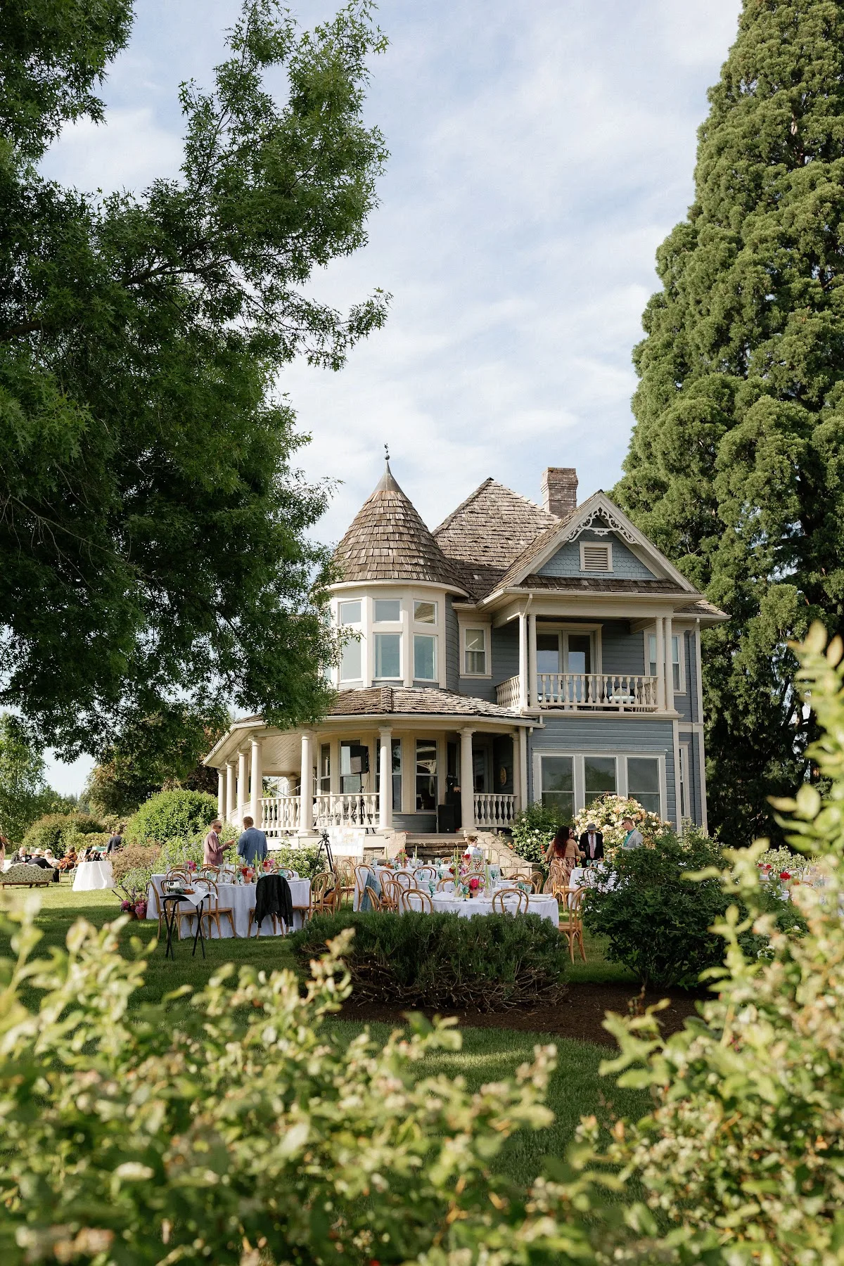 Barn Kestrel gallery