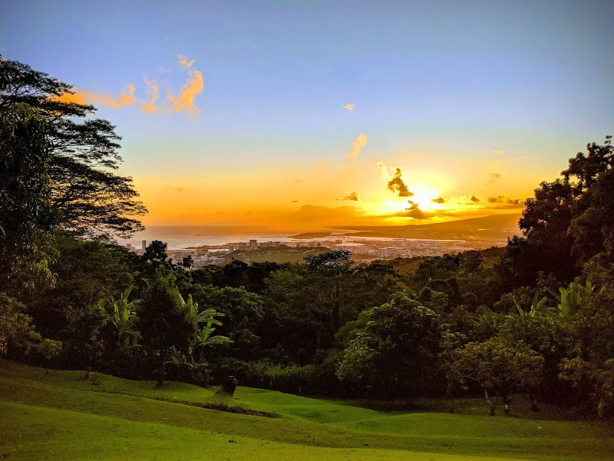 Bayer Estate gallery