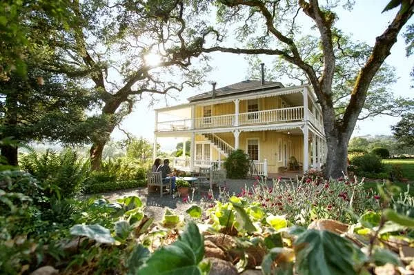 Beltane Ranch gallery