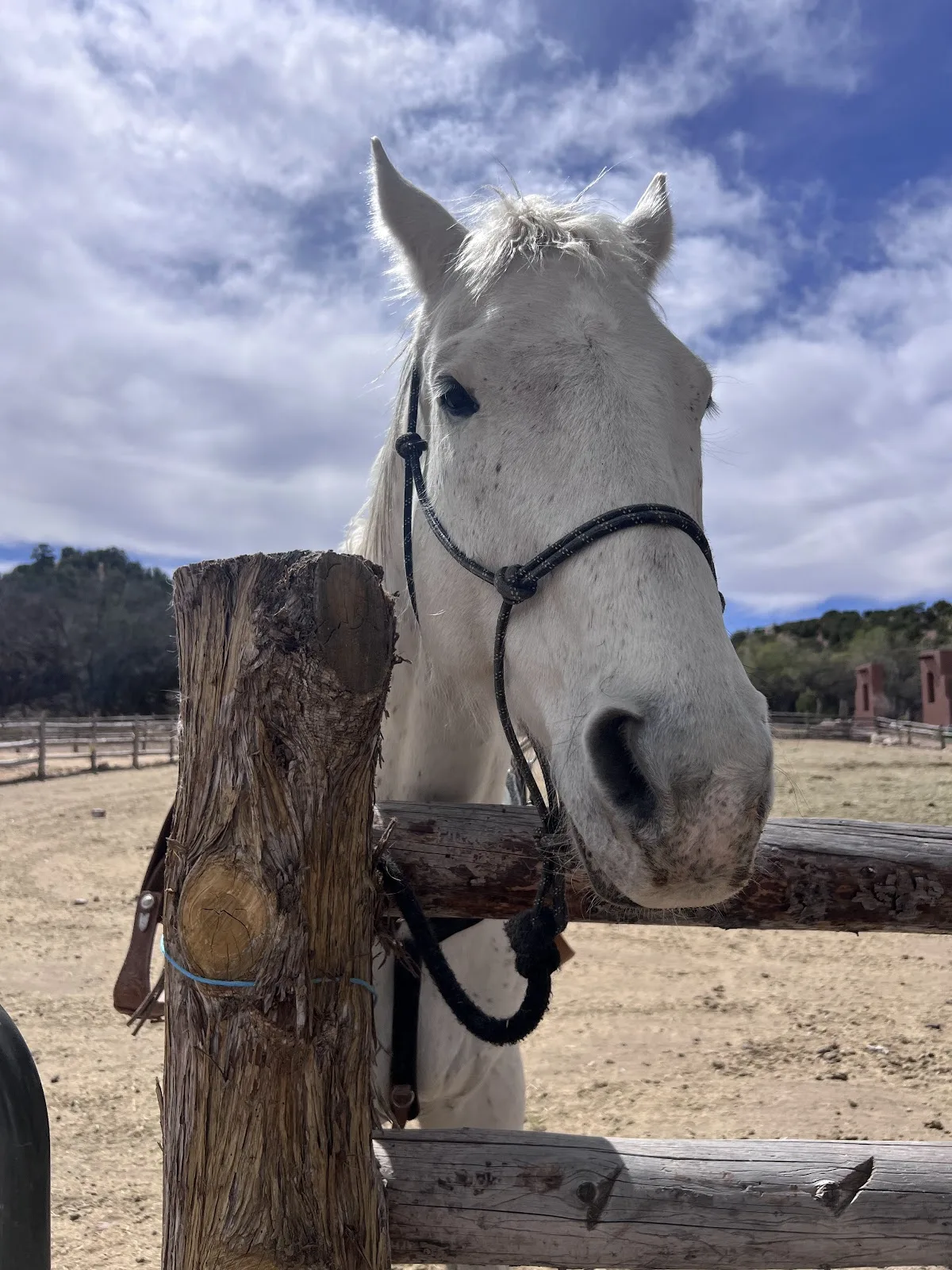 Bishop's Lodge, Auberge Collection gallery