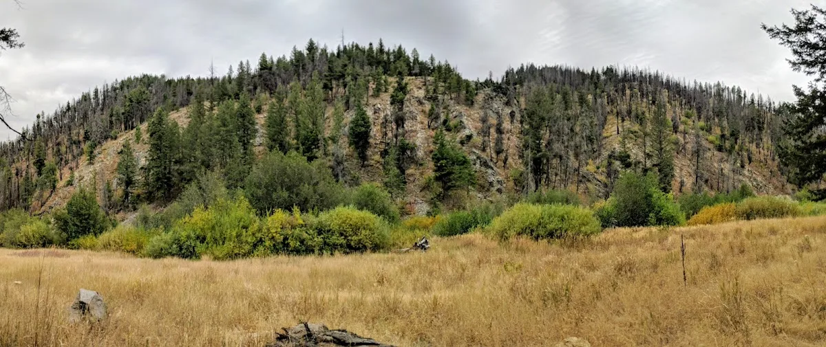 Black Bear Ranch gallery