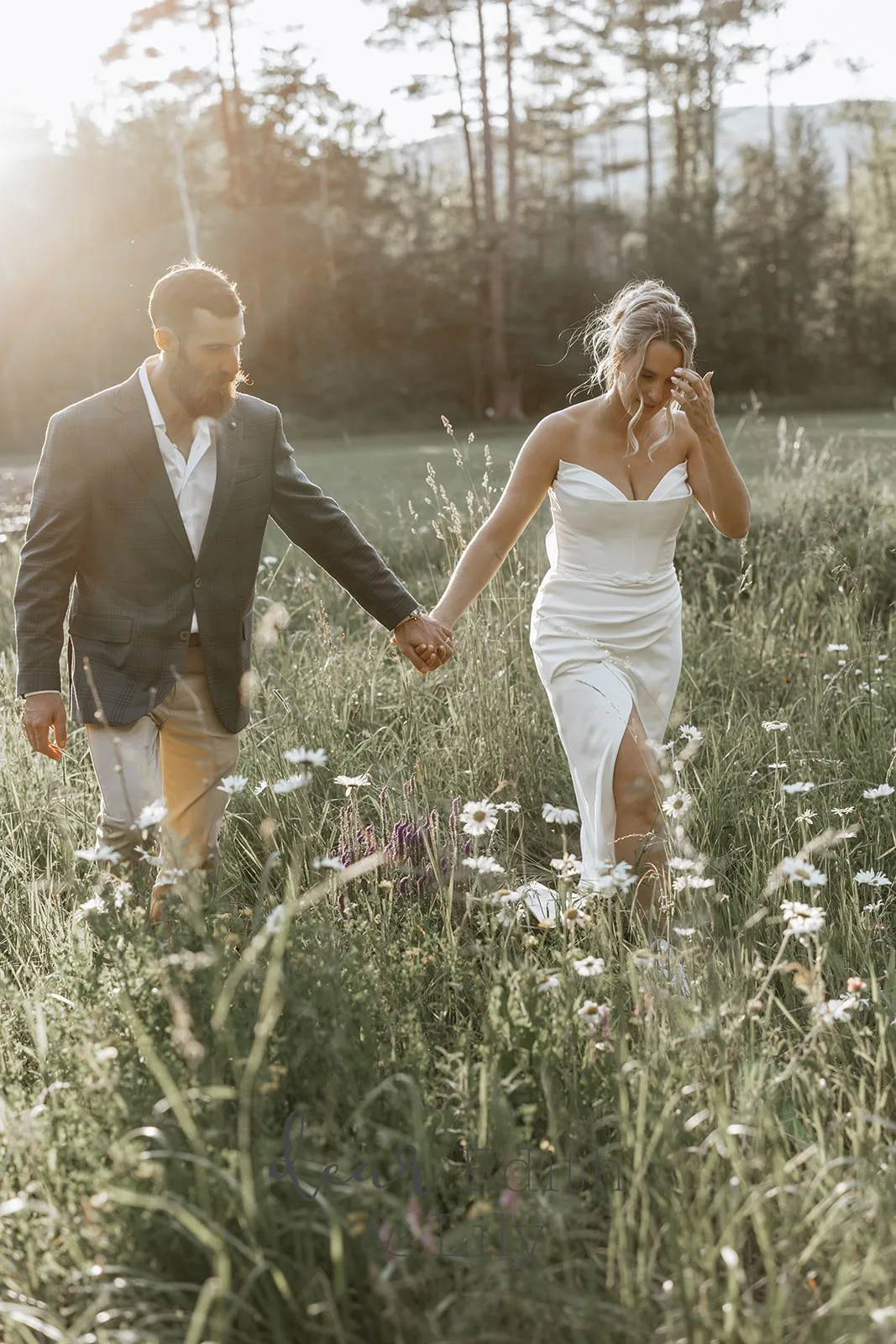 Bloom Meadows gallery