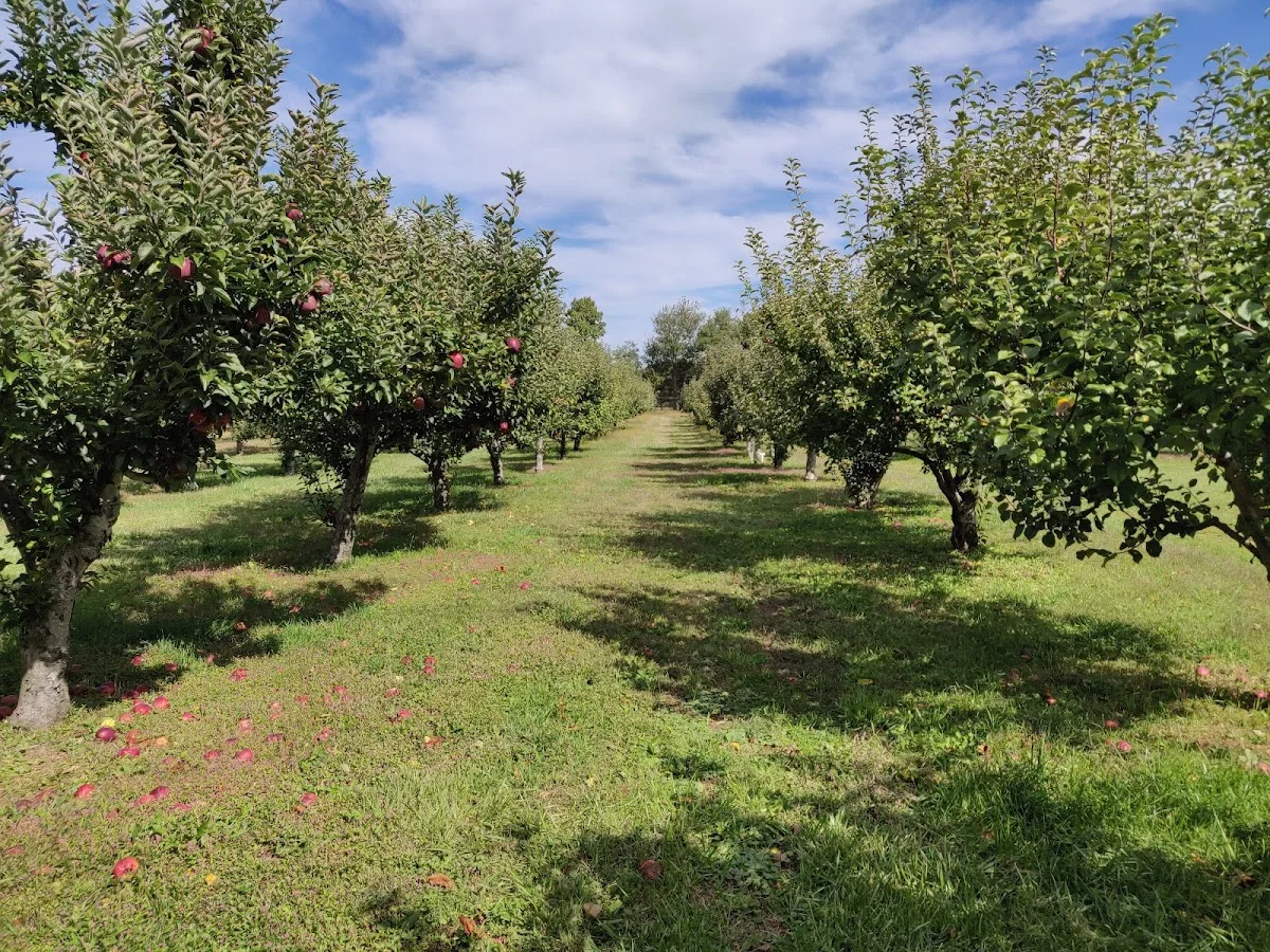 Brecknock Hall gallery