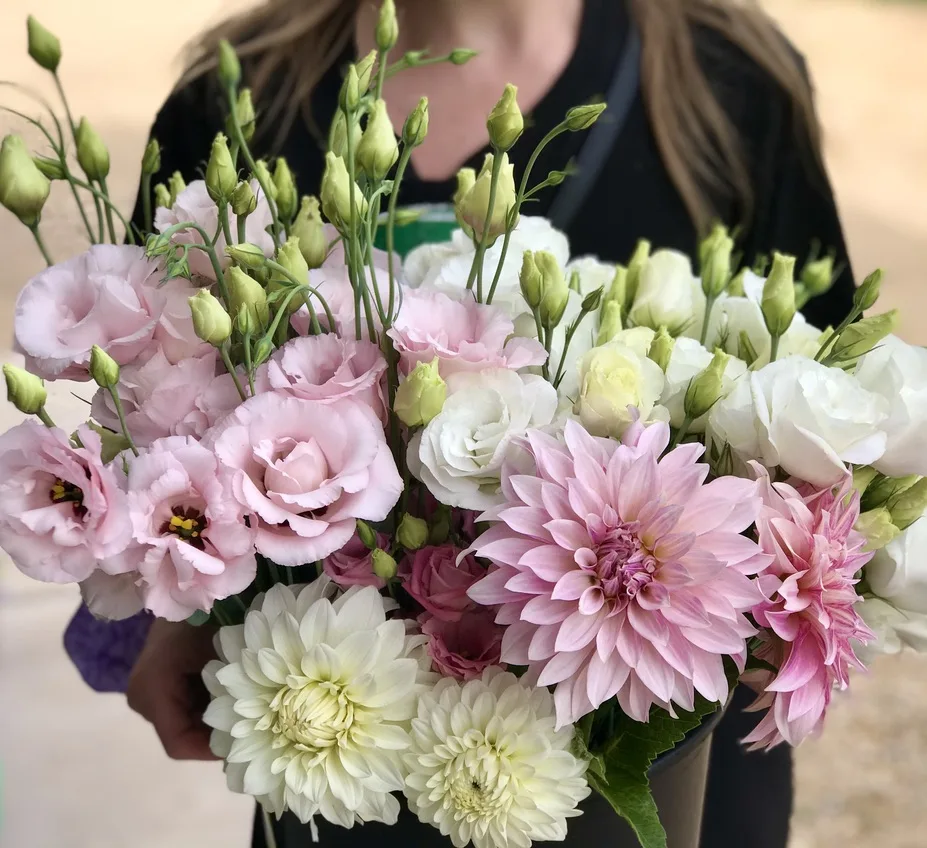 Camrose Hill Flower Studio & Farm gallery