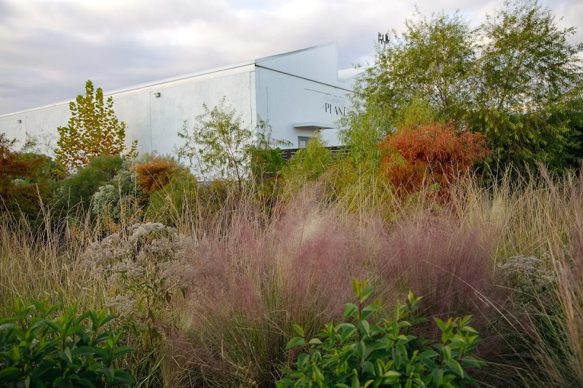 Central City Complex gallery