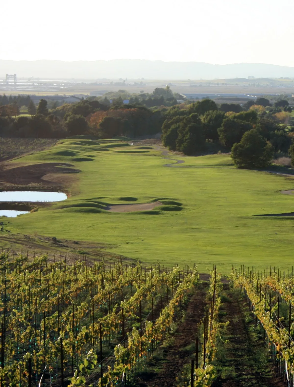 Chardonnay Golf Club gallery