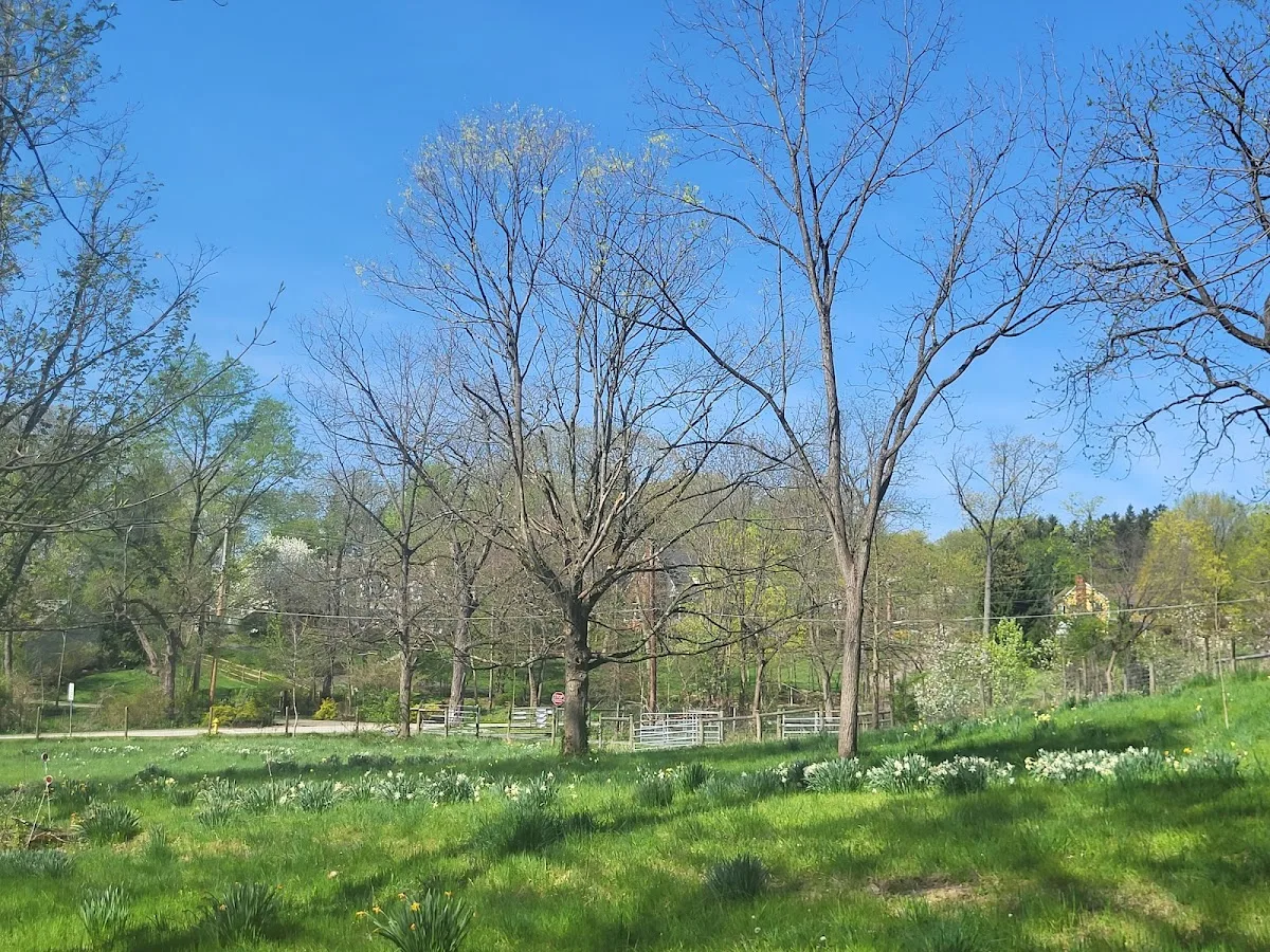 Churchview Farm LLC gallery