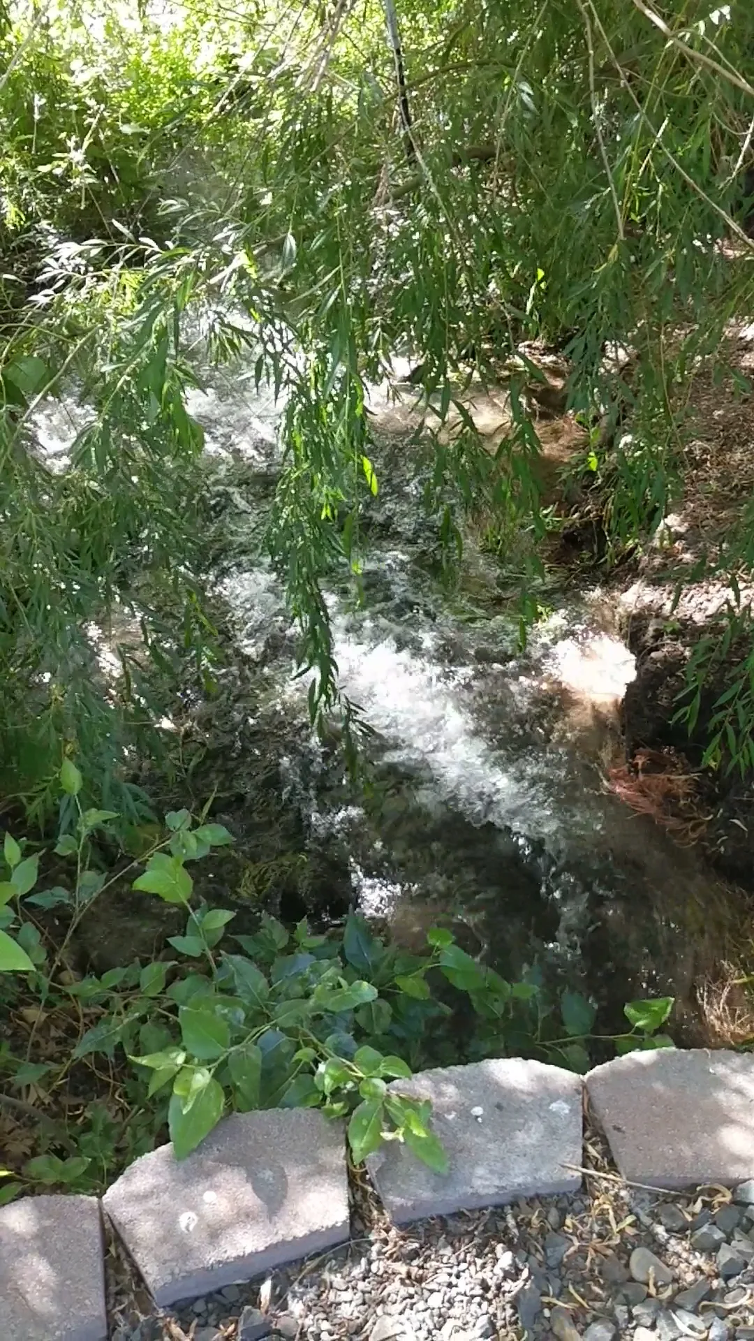 Creekstone Gardens gallery