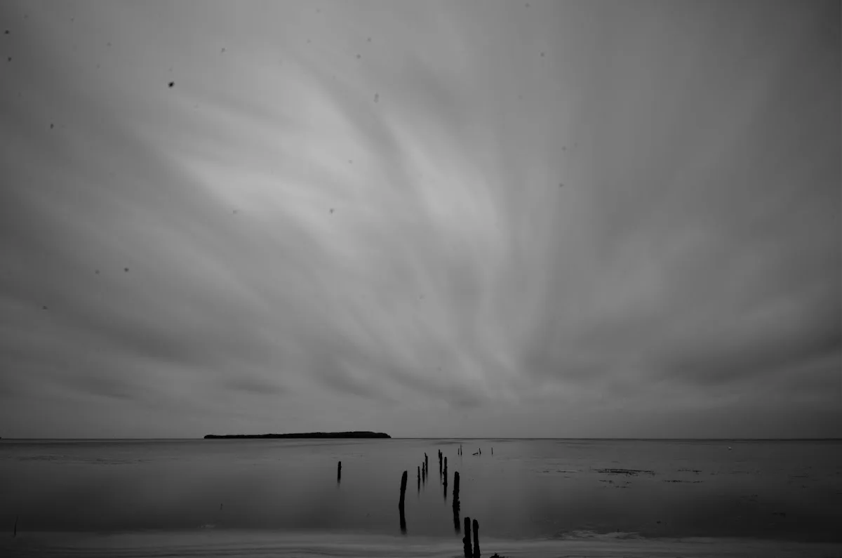 Deering Estate gallery