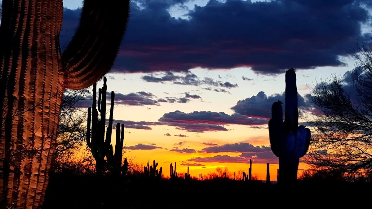 Desert Foothills Events and Weddings gallery