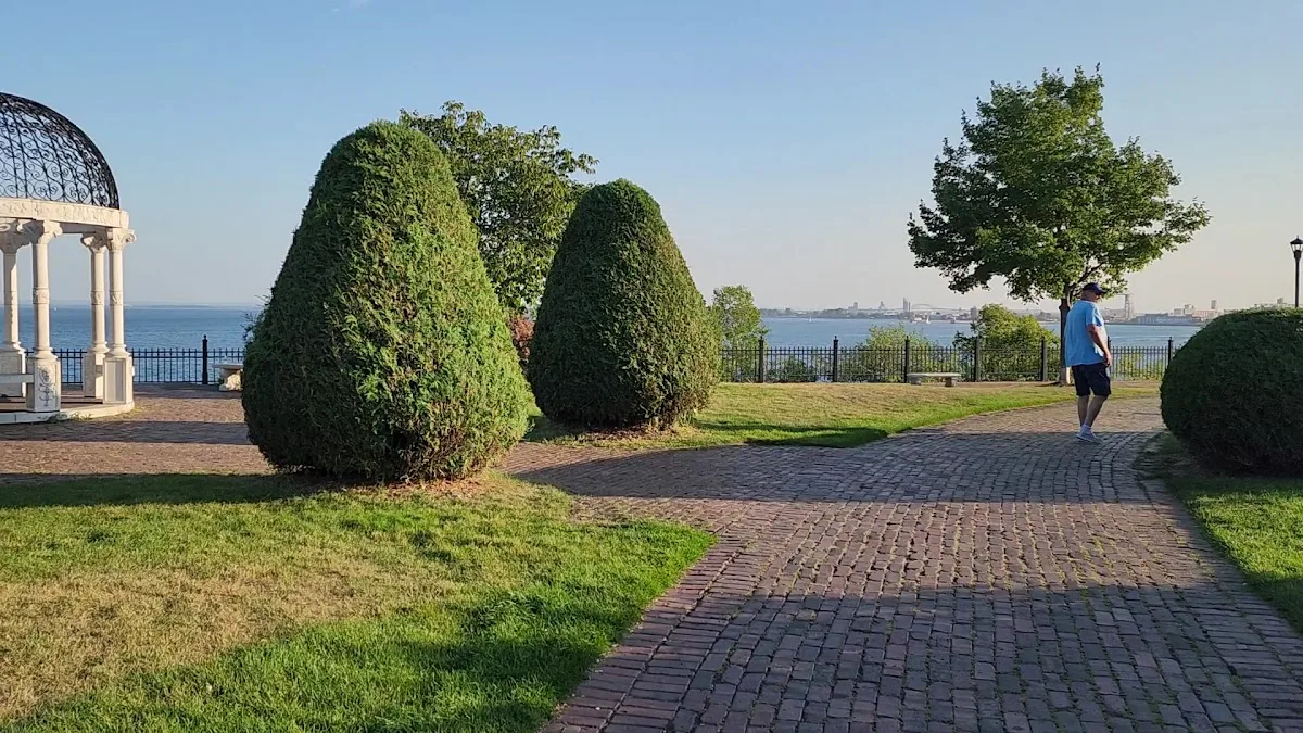 Duluth Rose Garden gallery