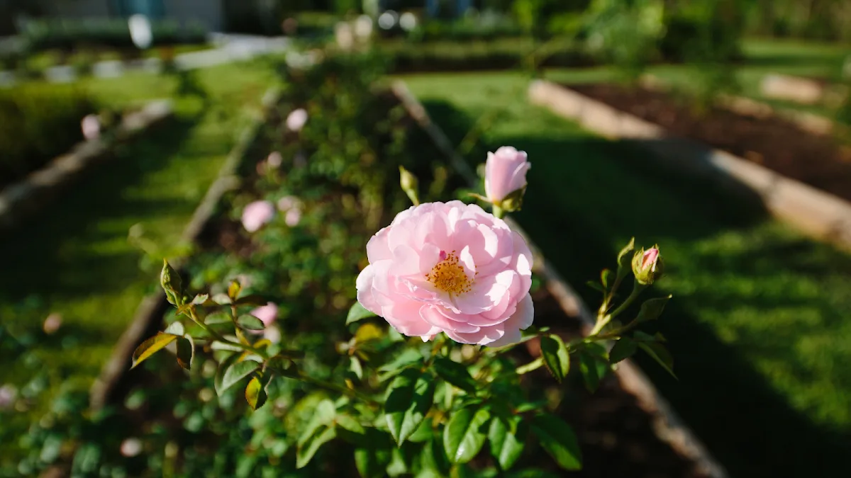 Ever After Farms Ranch Wedding Venue gallery