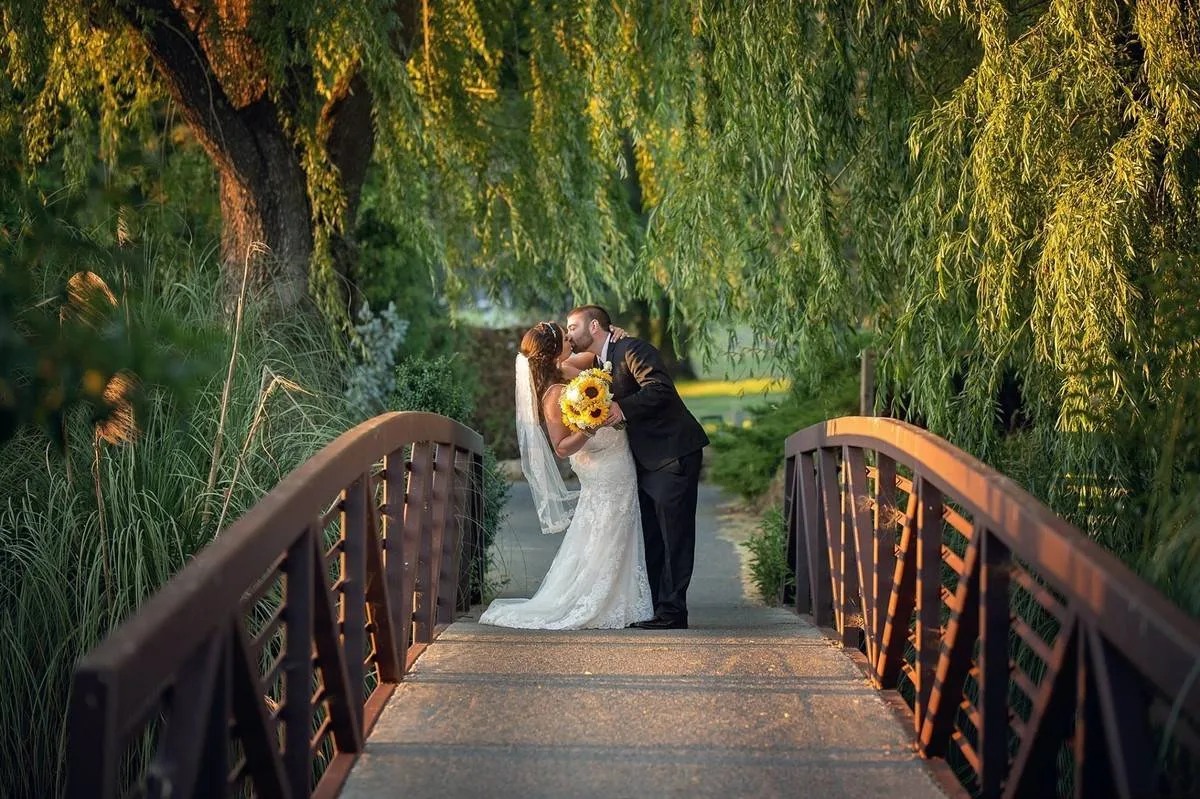 Fairview Valley of the Moon gallery