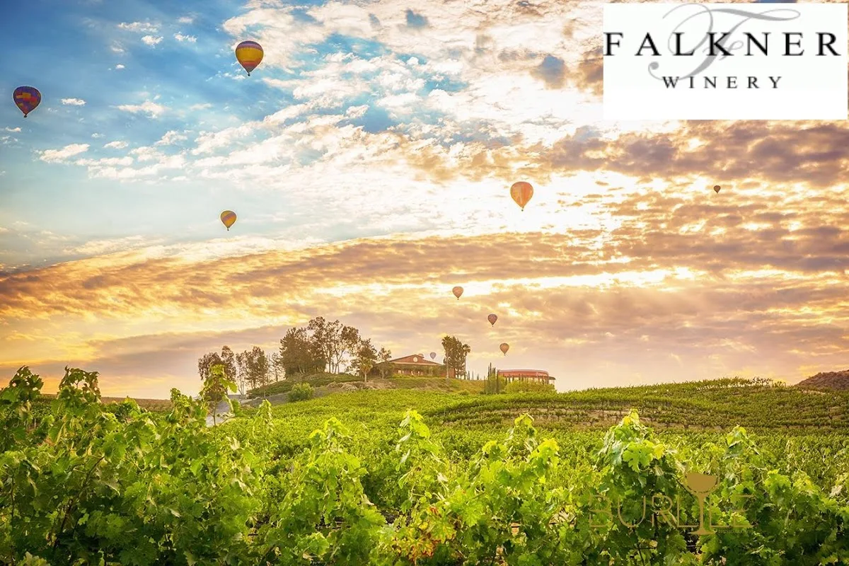 Falkner Winery & The Pinnacle Restaurant gallery