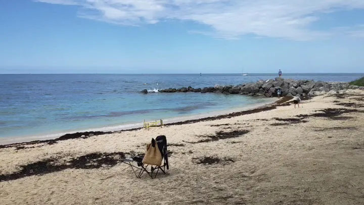 Fort Zachary Taylor Beach Weddings — Waterfront in Key West, FL