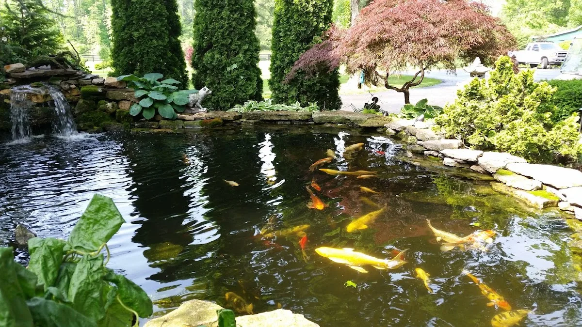 Garden Court gallery