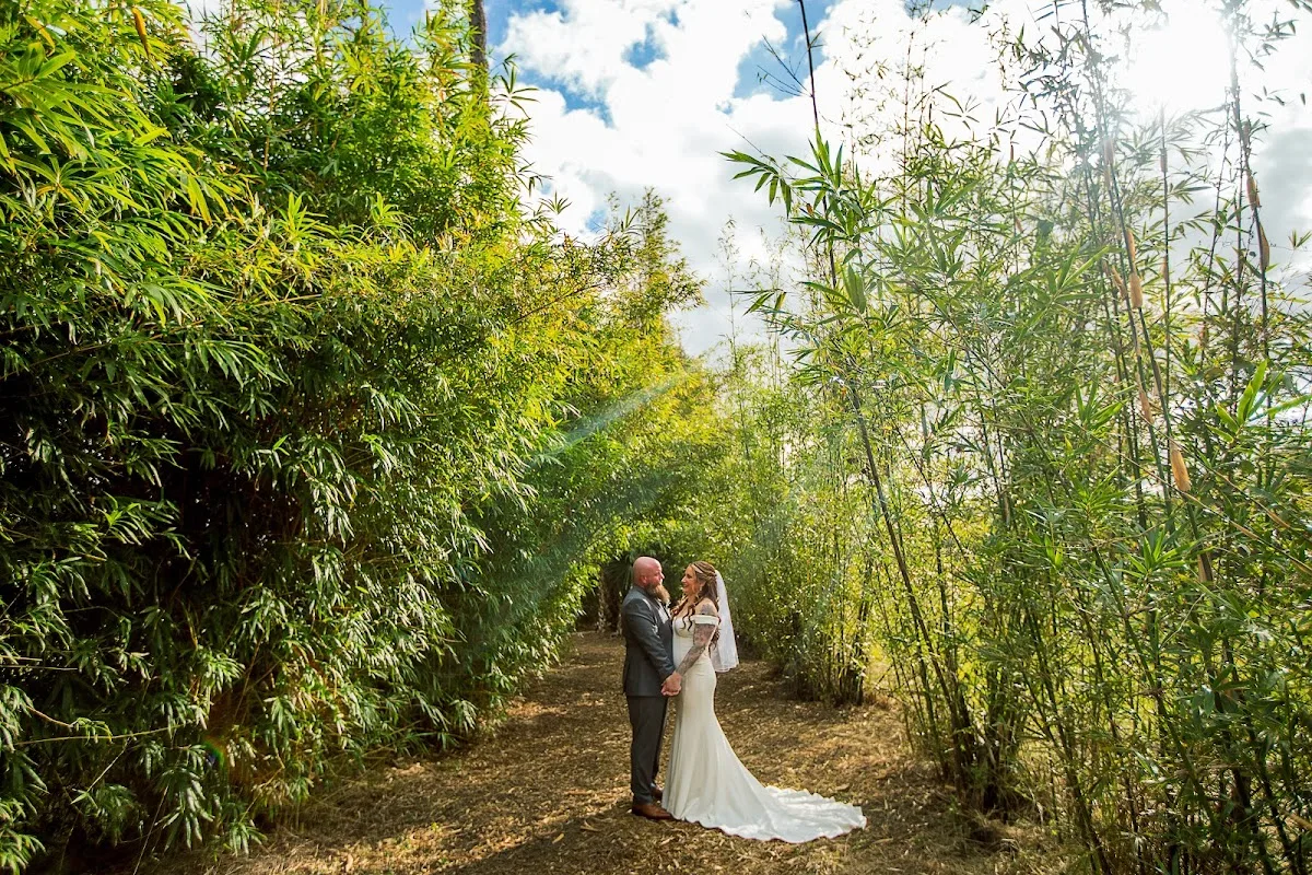 Grand Hacienda Palm Beach gallery