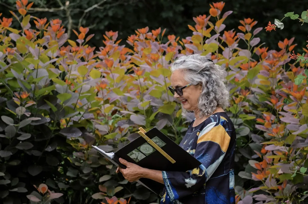 Harmony Gardens gallery