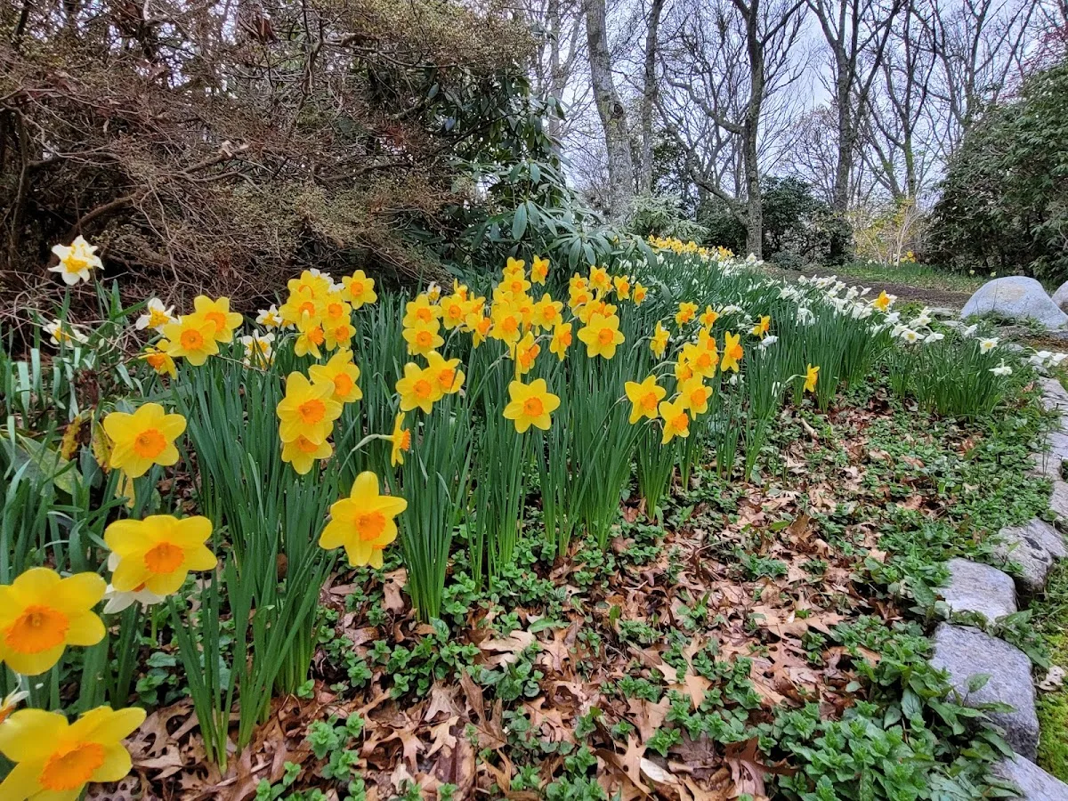 Highfield Hall & Gardens gallery