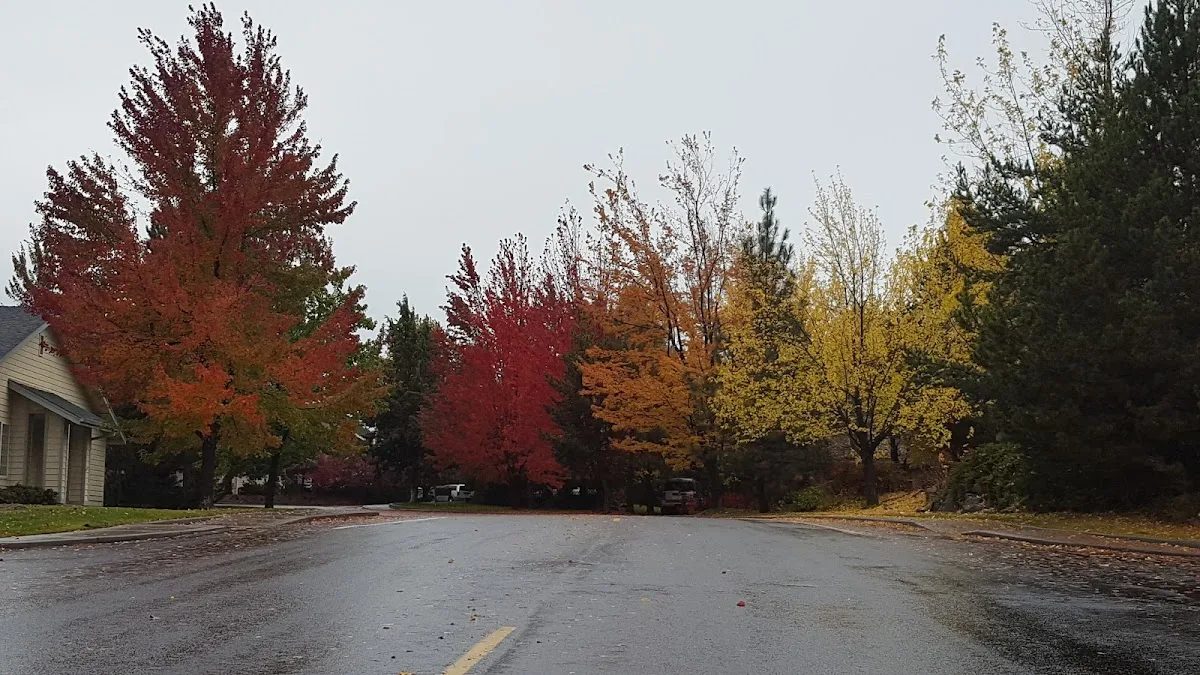 Hollinshead Park gallery