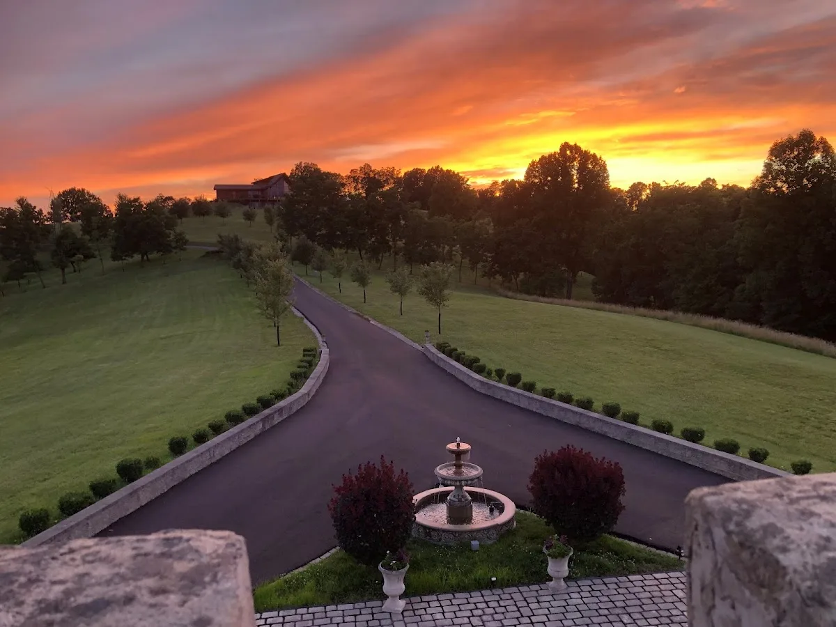 HONEYBEE HILLS gallery