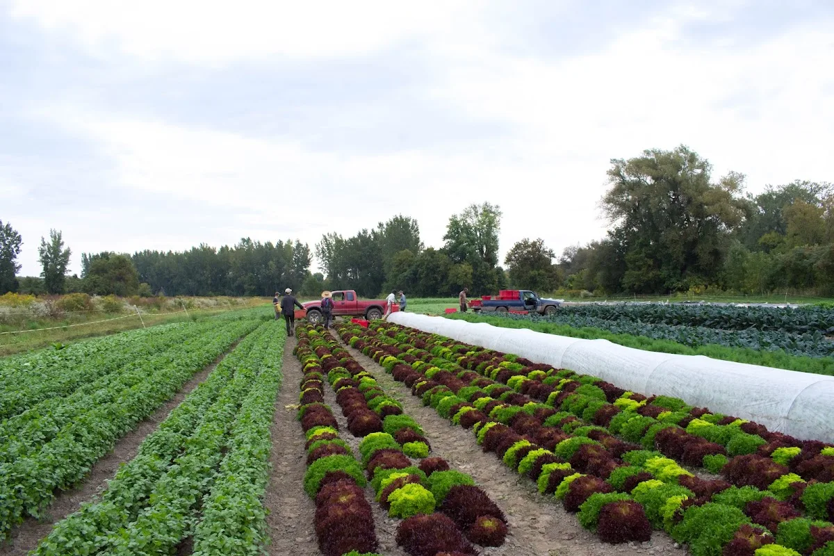 Intervale Center gallery