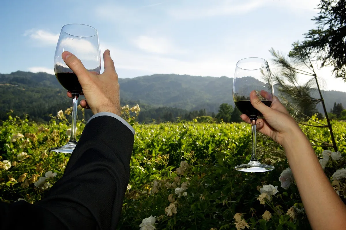 Intimate Weddings Napa Valley gallery