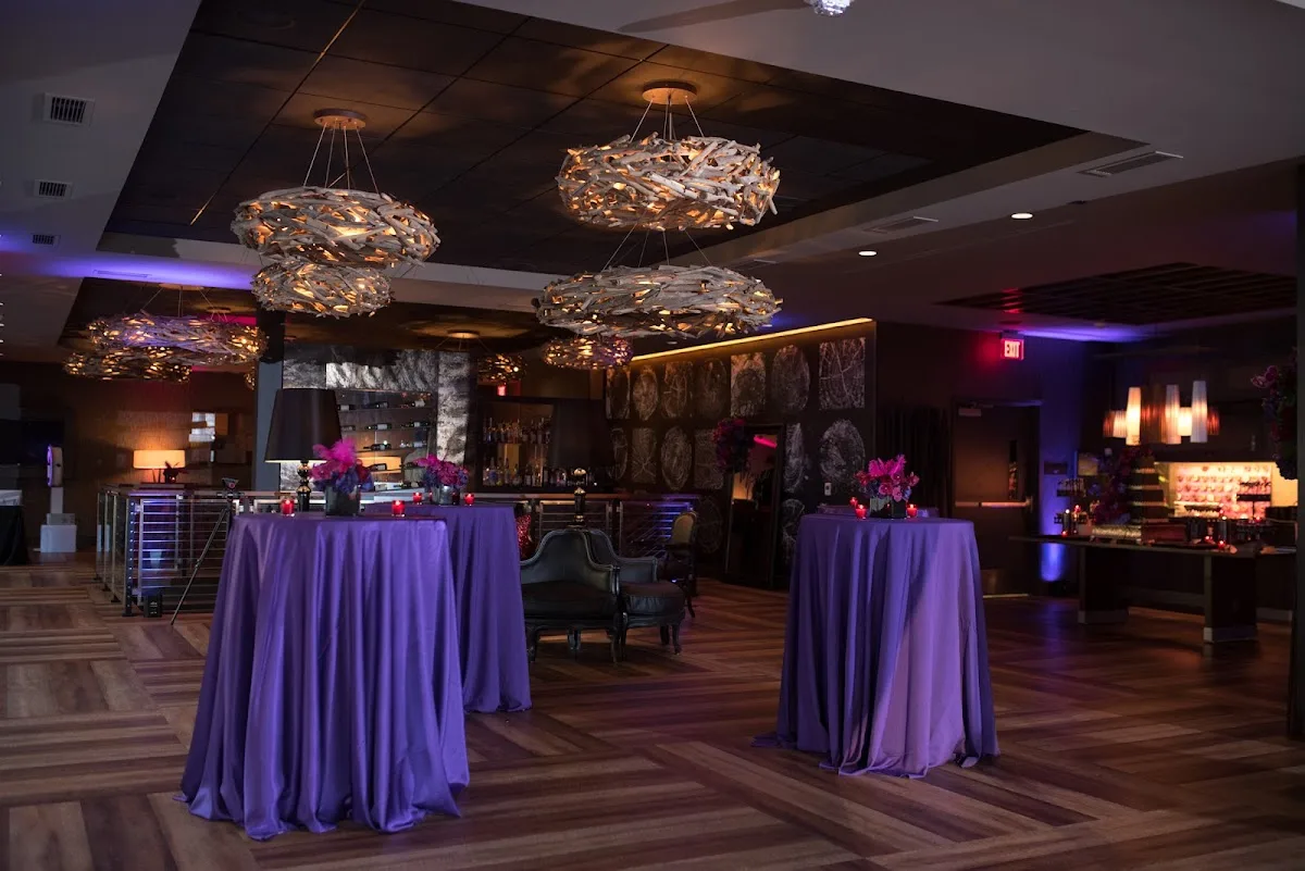 Jay Verno Studios gallery