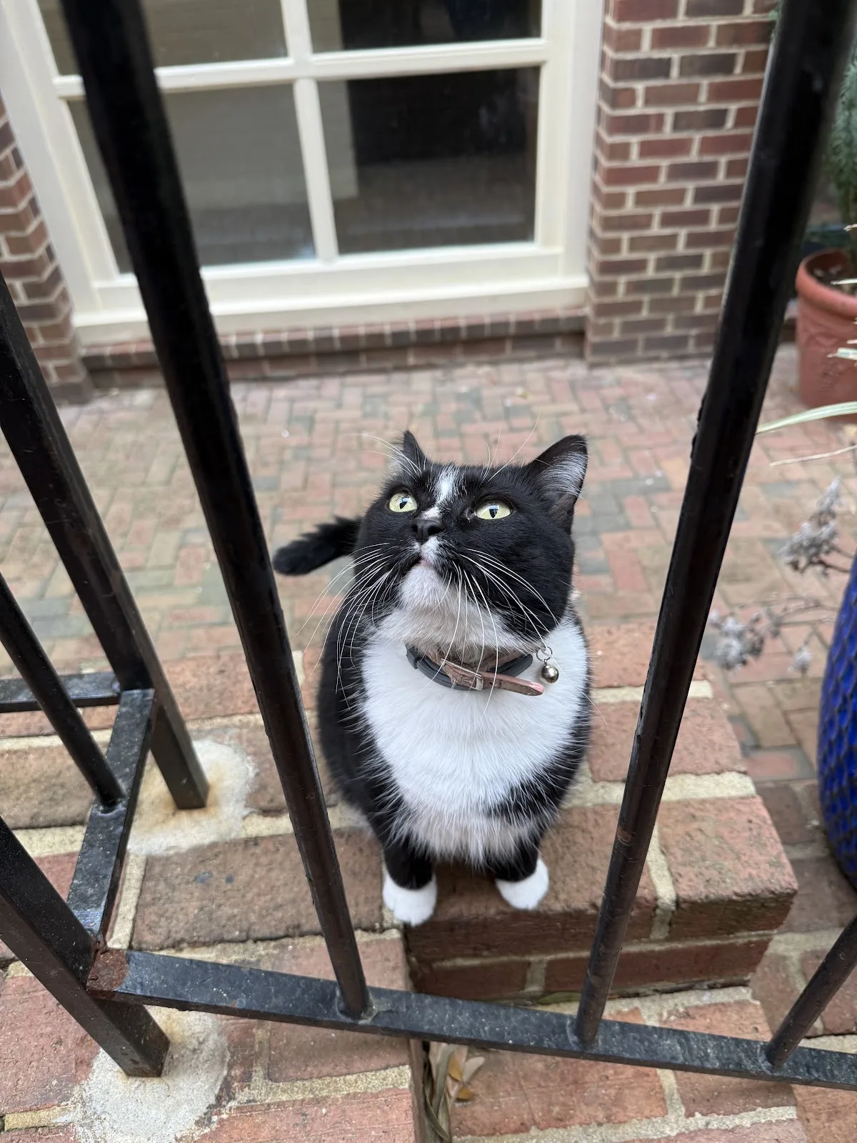 Linden Row Inn — Waterfront in Richmond, VA