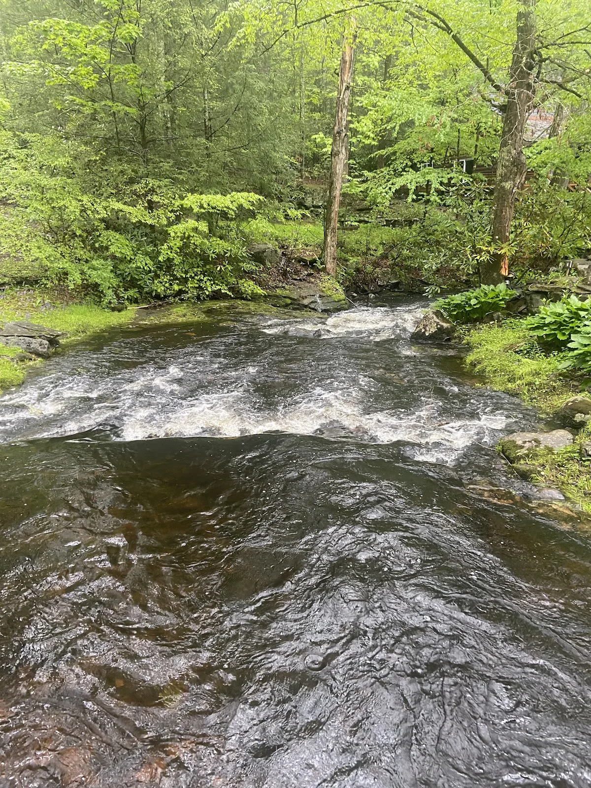Magnolia Streamside Resort| Family Pocono Resort | Couples Resort Poconos | Wedding & Event Venue — Historic & Elegant in Poconos, PA