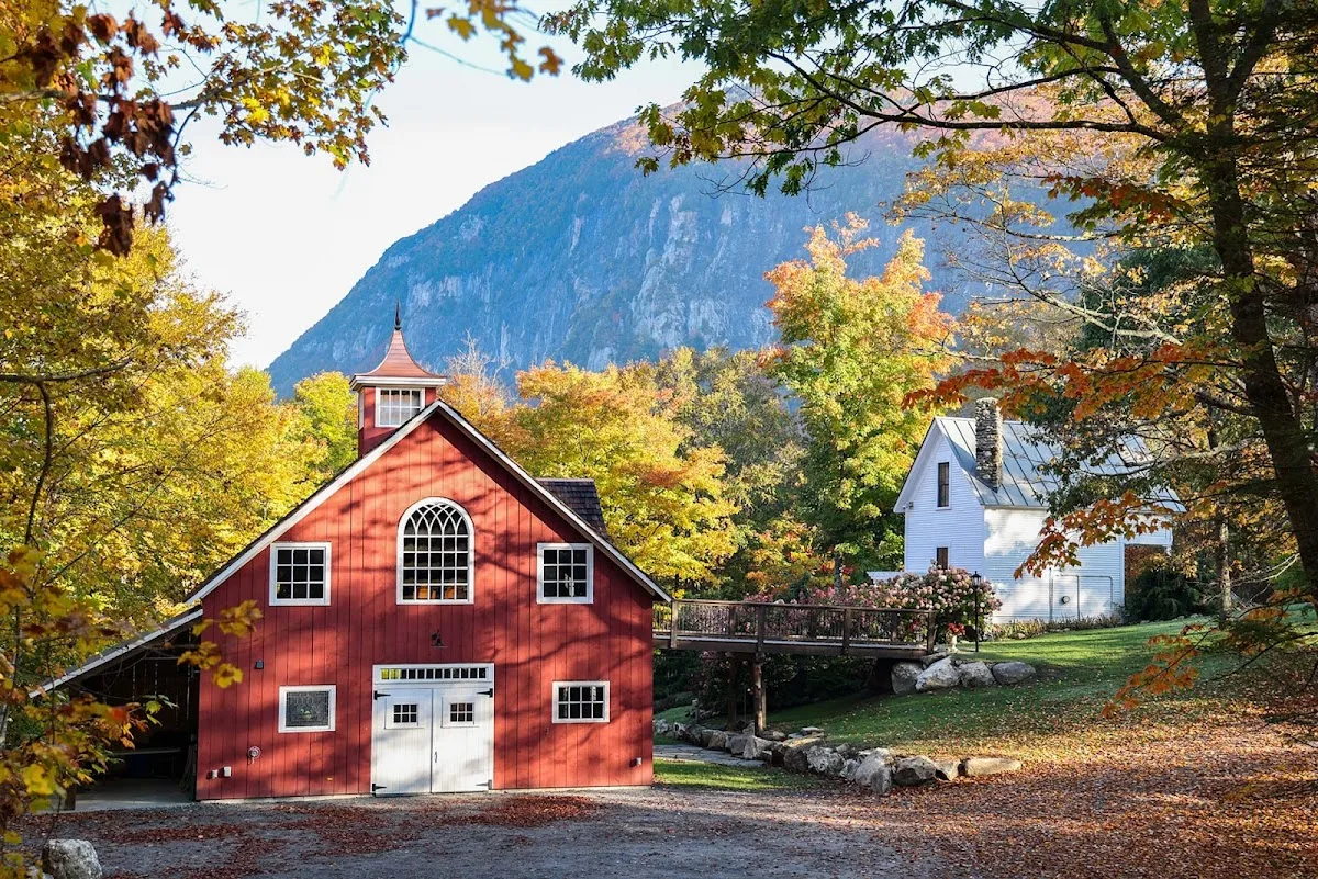 Maple House Manor gallery