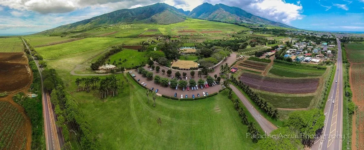 Maui Tropical Plantation gallery