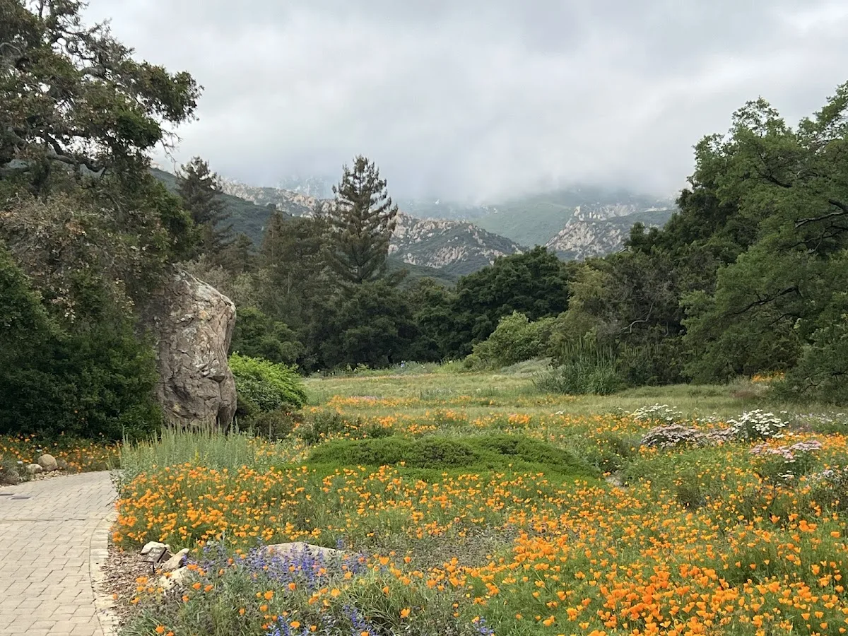 Mission Rose Garden gallery