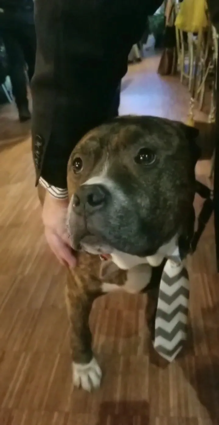 National Union Building gallery