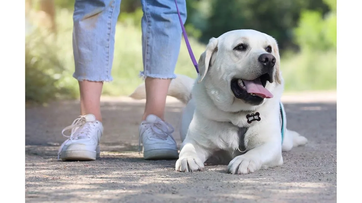 National Veterans Memorial and Museum