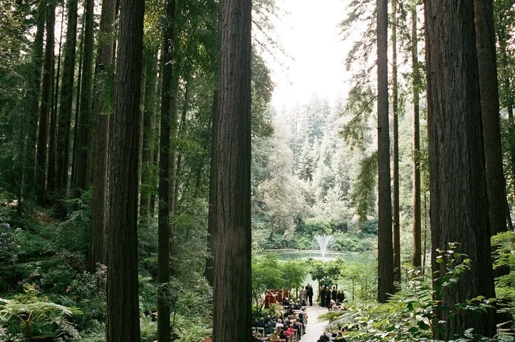 Nestldown — Garden & Outdoor in San Jose, CA