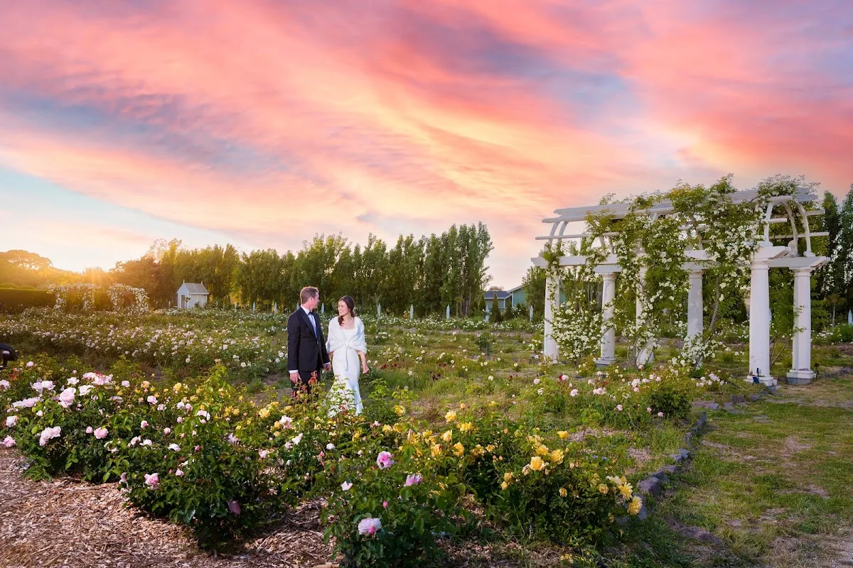 Olympia's Valley gallery