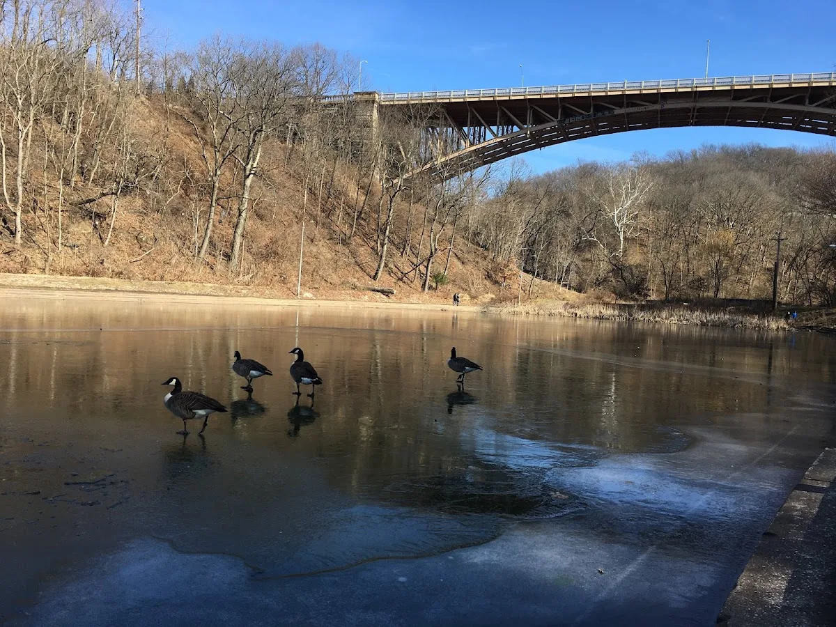 Phipps Conservatory and Botanical Gardens gallery