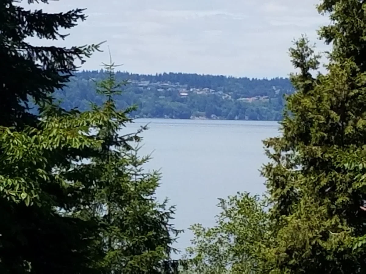 Point Defiance Pagoda — Garden & Outdoor in Tacoma, WA