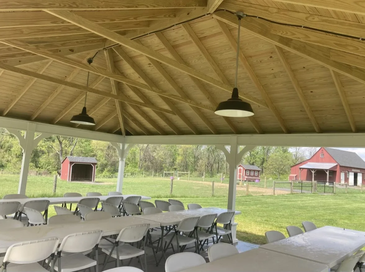 Princeton Lavender gallery