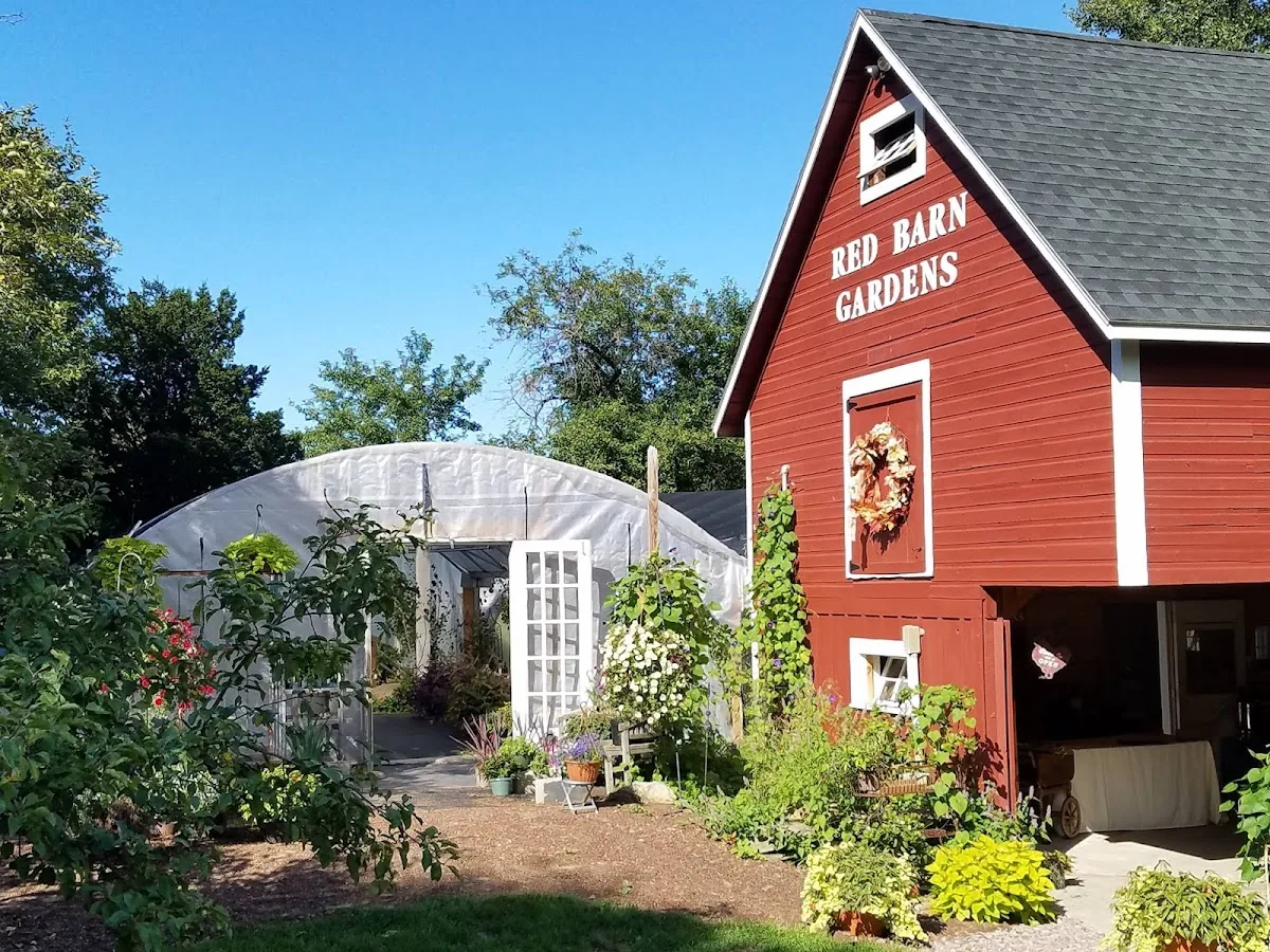 Red Barn Gardens gallery