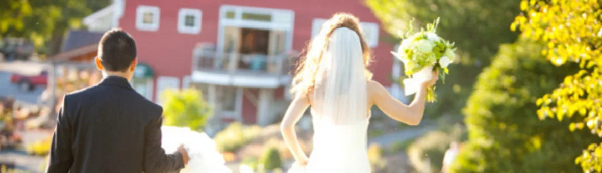 Red Barn Gardens gallery