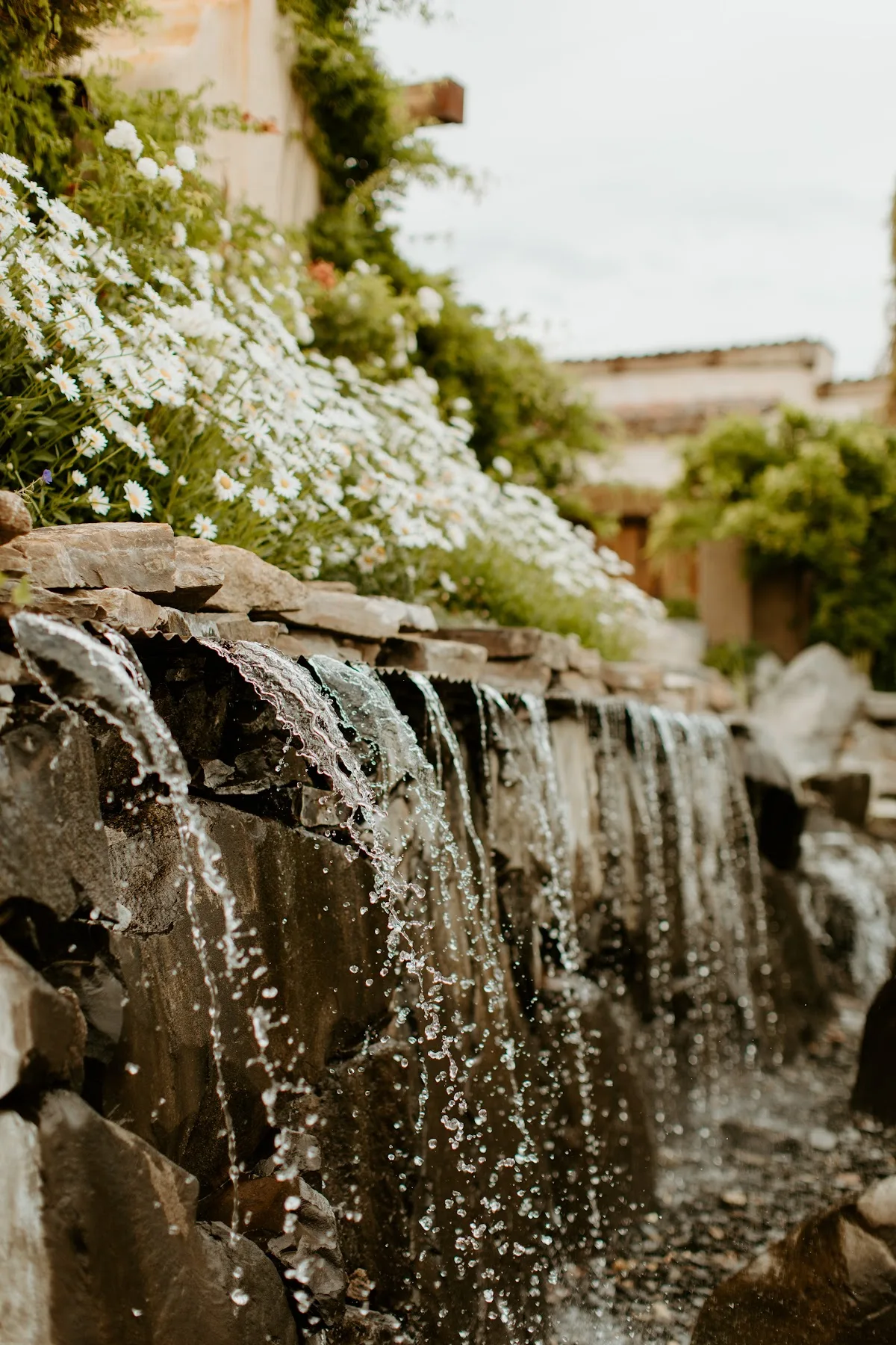 River School Farm gallery