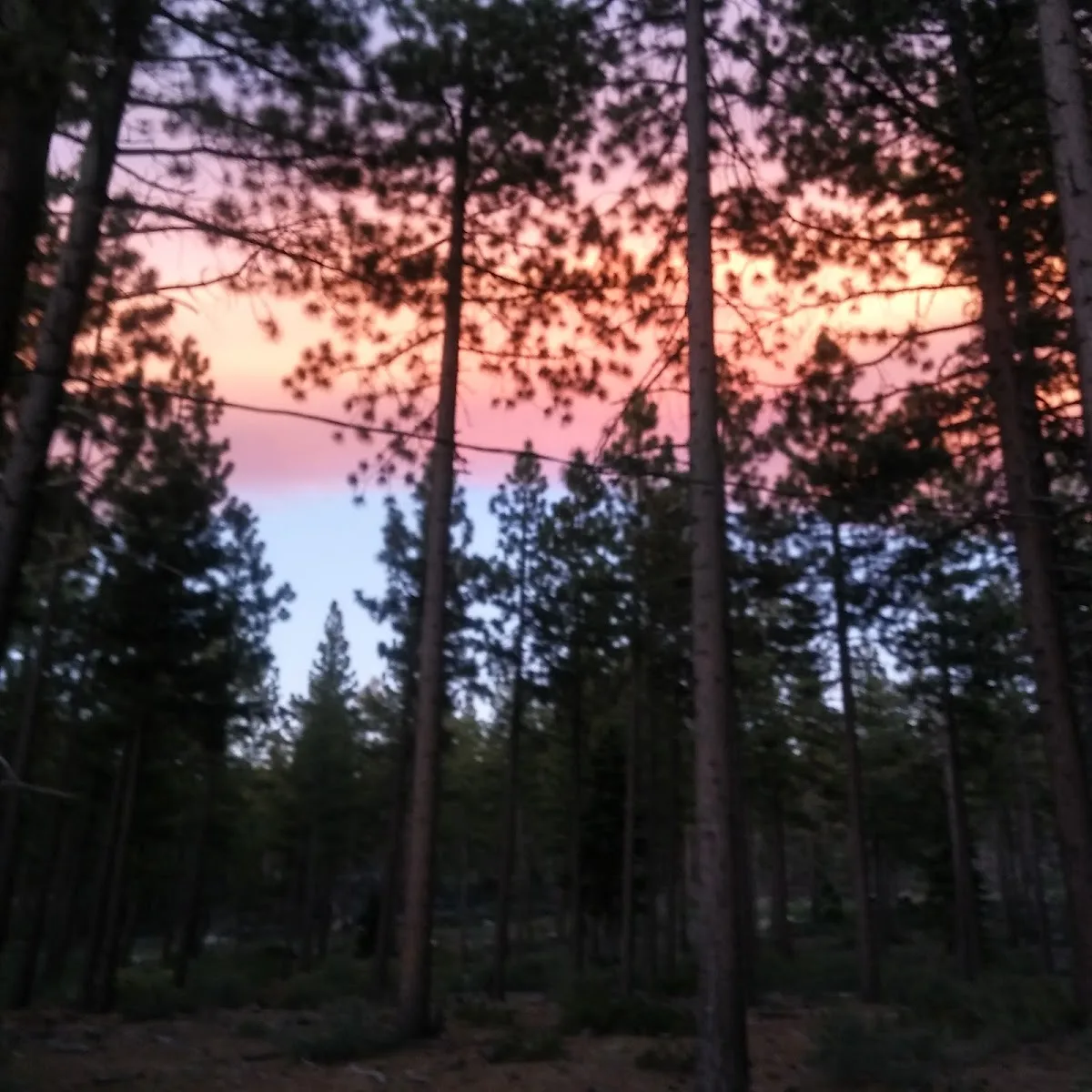 Round Hill Pines Beach Resort gallery