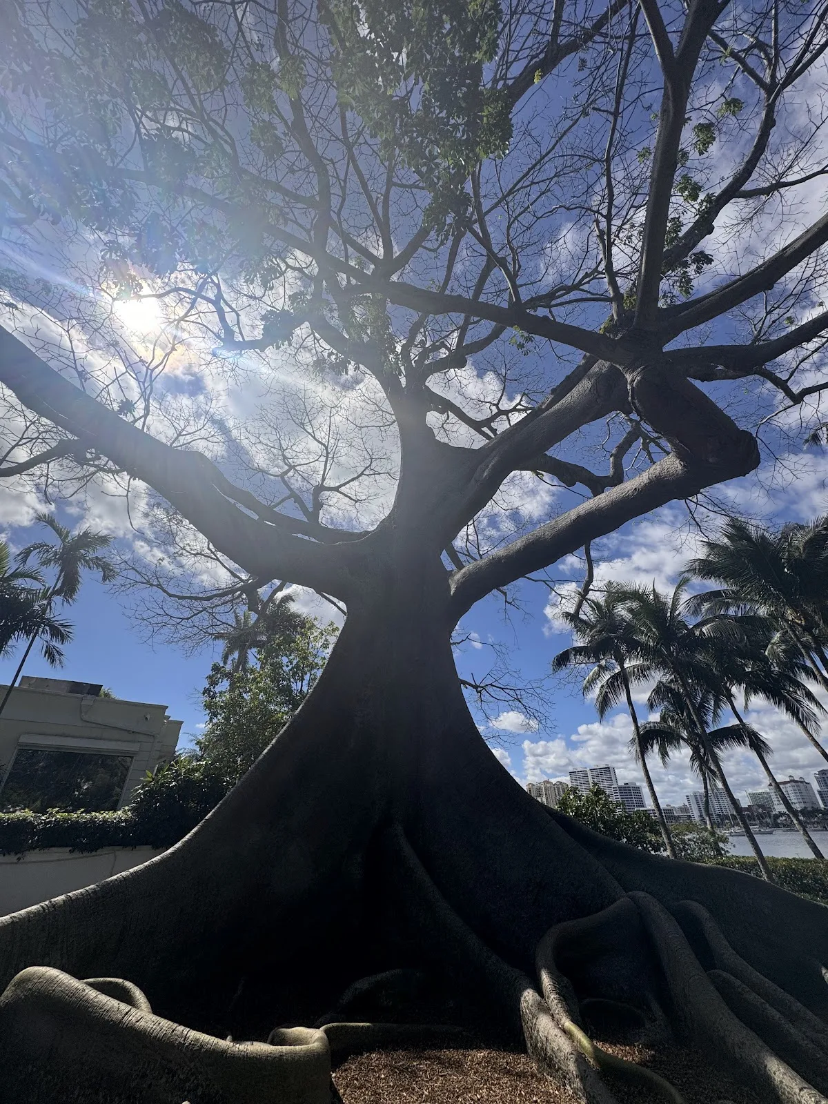Royal Poinciana Chapel — Ballroom & Banquet in Palm Beach, FL